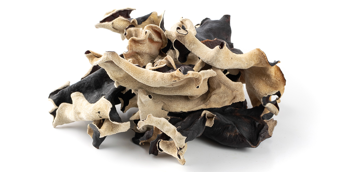 Difference Between Cloud Ear Fungus and Wood Ear Fungus and Their Benefits